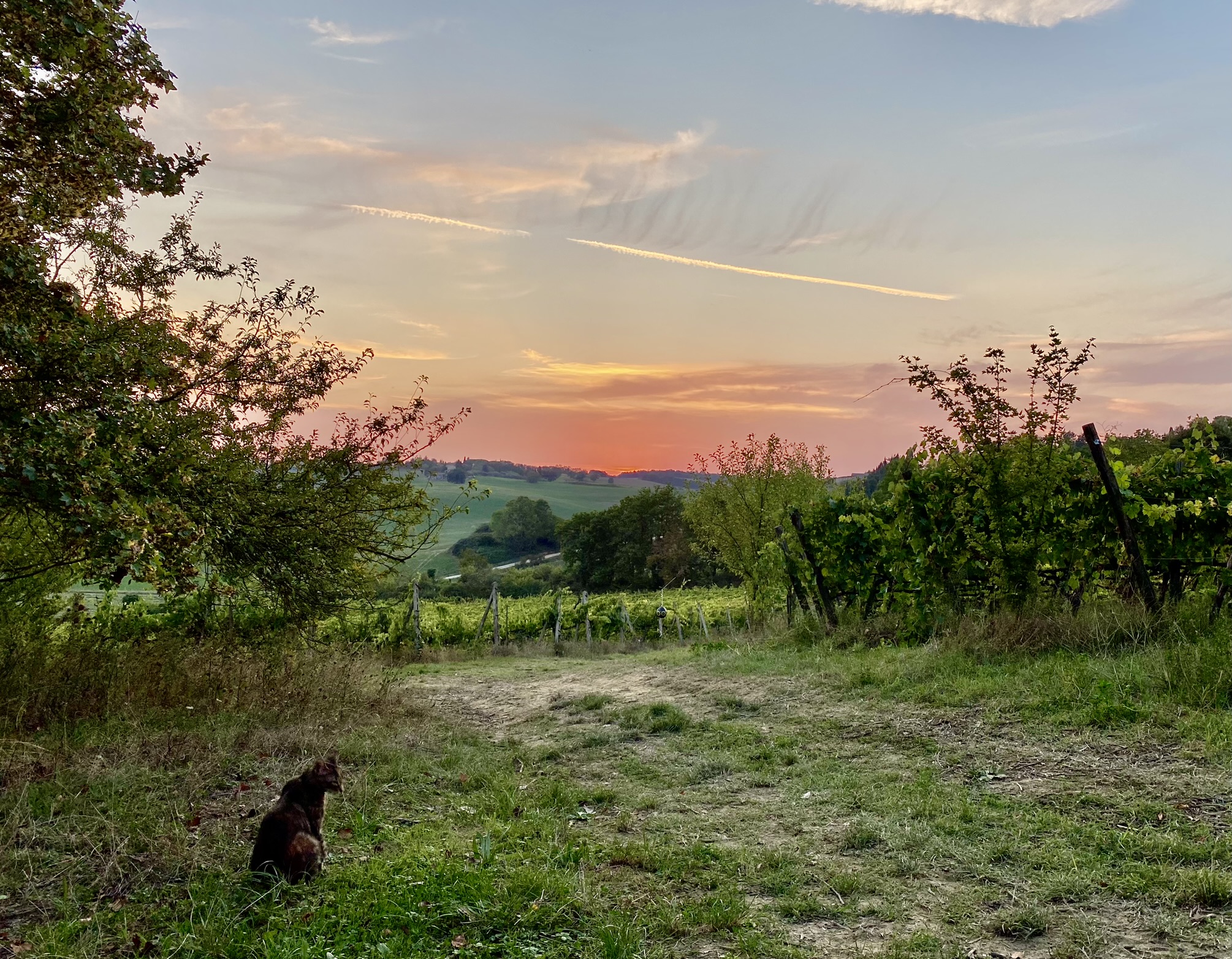 Der Klang der Stille