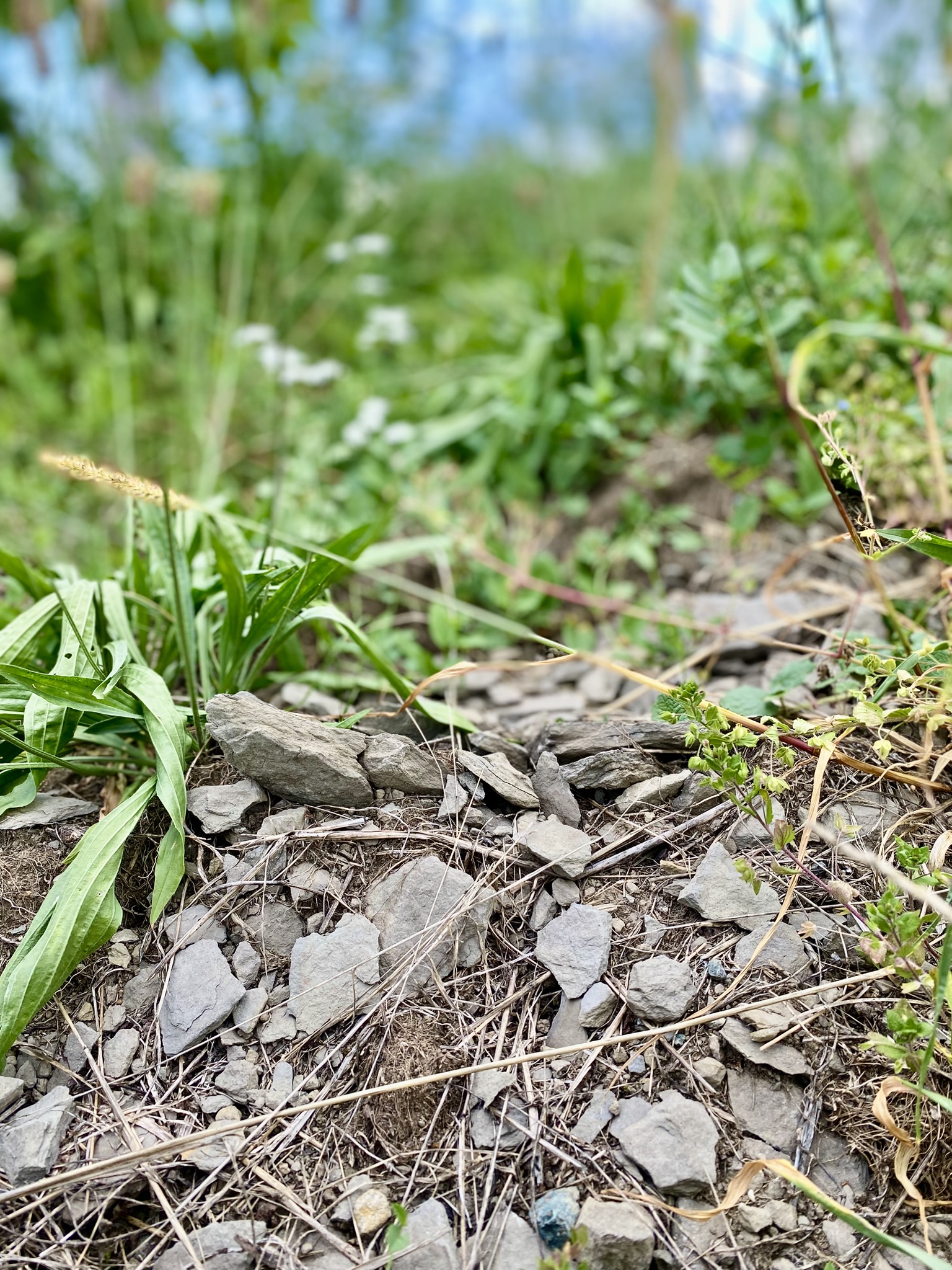 Vom Zulassen und finden